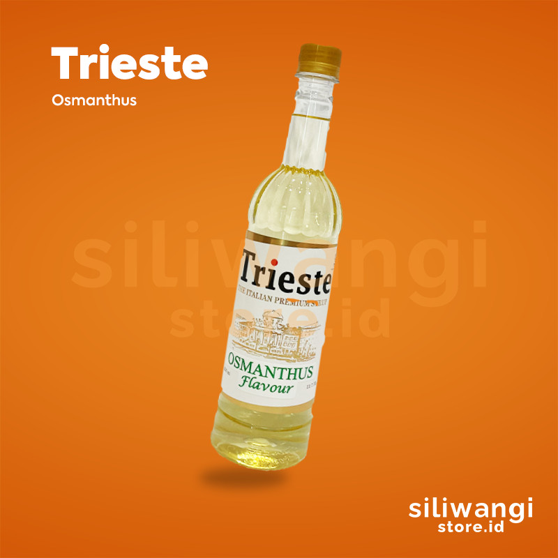 

SILIWANGISTORE - Trieste Syrup mojito mint