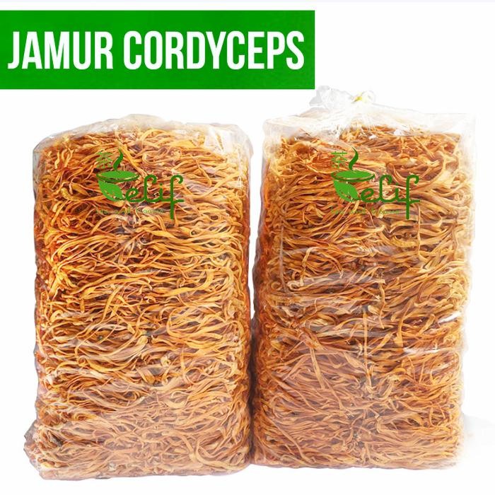 

500g Cordyceps Mushroom Flower Jamur Cordyceps Militaris Cong Cao Hua