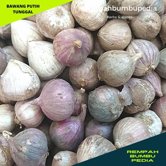 

SIAPKIRIM bawang putih tunggal bawang lanang herbal READY STOCK