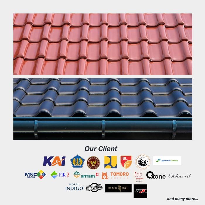 Cat Genteng Seng Asbes Puffin Roofcoat Solventbased Glossy