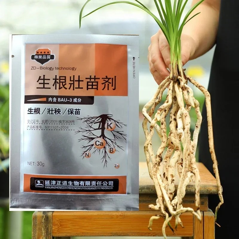 30G Rapid Rooting Powder Plant Growth Regulator For Seedling Bonsai Tree Cutting Rooting Hormones