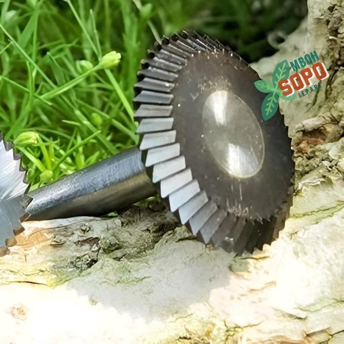 Alat Bonsai, Mata Bor Ukir, Mata Bor Jin As 6mm, Untuk nge'Jin batang bonsai