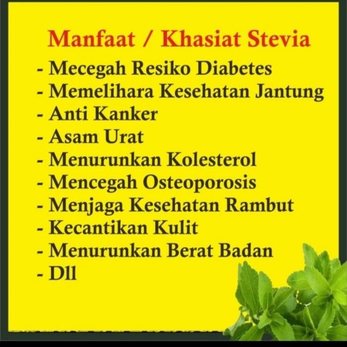 

(Expert) Gula Stevia kemasan besar 30 ml