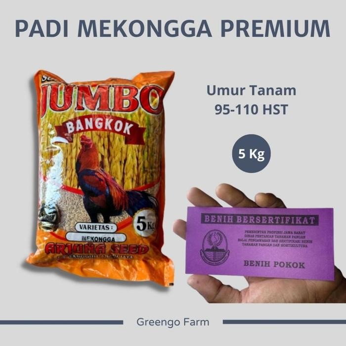 A7 Benih Padi Varietas IR64/ IR 64 Super Jumbo 5Kg (B7)