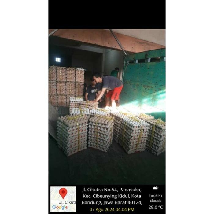 

(Expert) Telur ayam negeri isi 30 butir sekitar 1,9 kg kulit lebih tebal /kirim