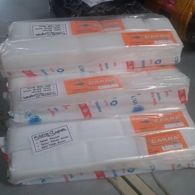 (Expert) 1 kg plastik es mambo / es spidol