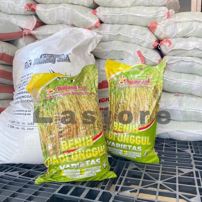 Benih Padi Hibrida Super Unggul Bintang Asia Inpari 32 Hdb Tahan Hawar Daun