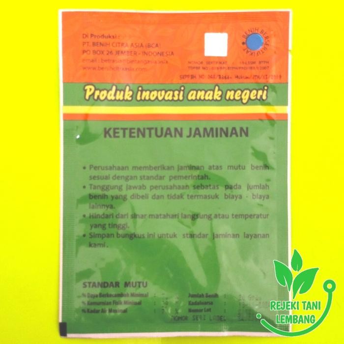 Benih Seledri Aroma Isi 20 Gr Benih Seledri Berdaun Hijau Muda