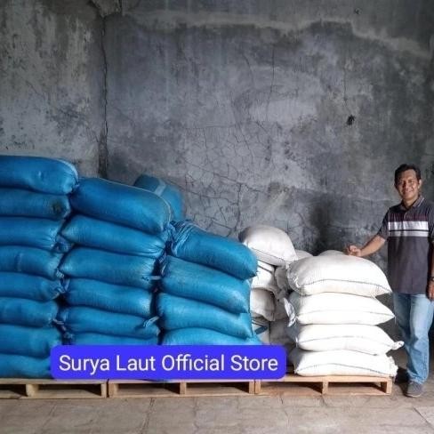 

Garam Krosok 1 Karung (50Kg) -Gratisongkir