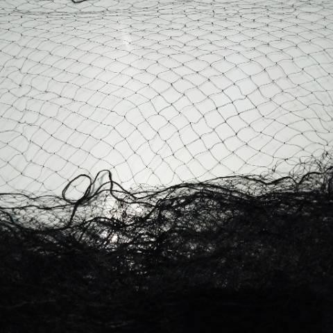 jaring burung emprit sawah lubang kecil bahan nilon