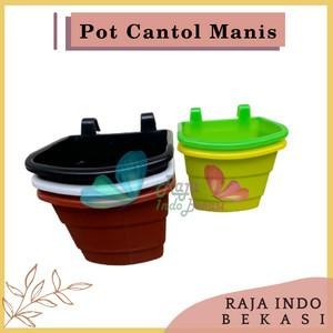 Raja Indo Pot Dinding/Pot Cantol/ Pot Tempel/Pot Tip S/Pot Vertical Garden Tanam