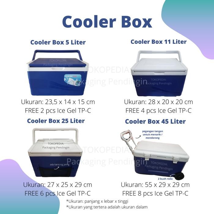 Vaccine Carrier Box Vaksin Cooler Box Vaksin Box Pendingin Farmasi
