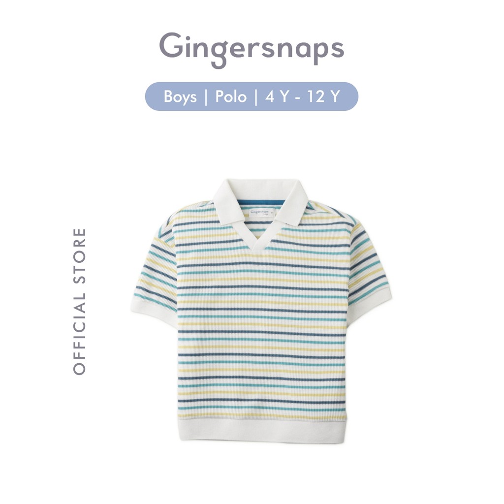 Gingersnaps Coastal Riviera Polo Multi - Kaos Polo Anak Laki (Multi)