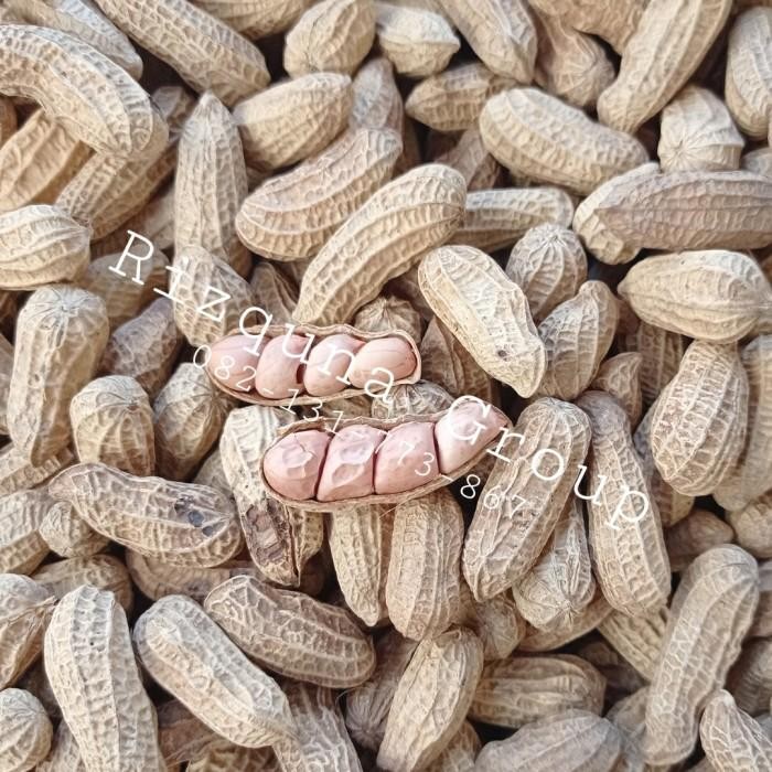 

(Expert) Kacang Oven Kacang Asin 500gr