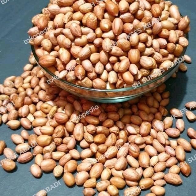 

(Expert) KACANG TANAH KULIT / KACANG TANAH MENTAH 1KG MURAH SURABAYA