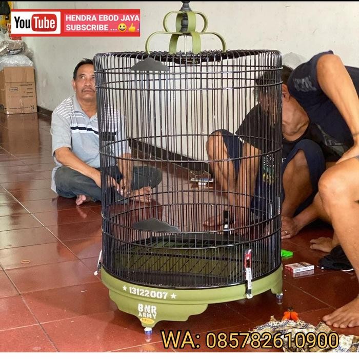 sangkar murai BNR ARMY