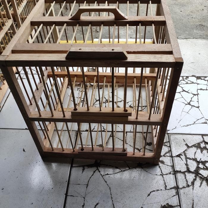 Dongdang lepas burung dara