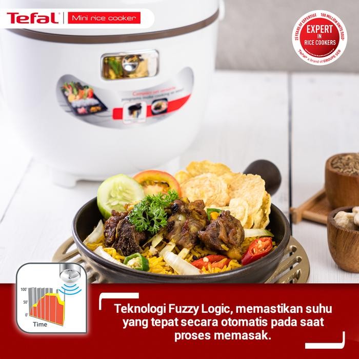 Tefal Mini Cooker Rk5001 - Rice Cooker Magic Com Pasti Diskon