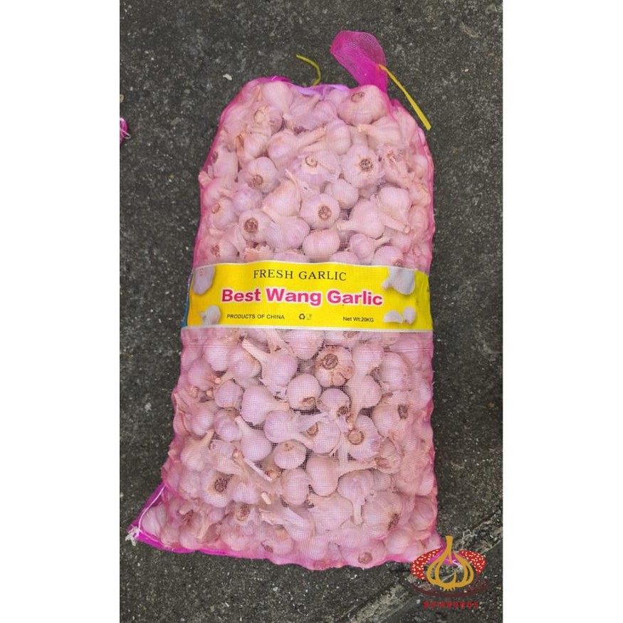 

Osyak.Mart Bawang Putih Kating 1 Sak Karung Ball 20 Kg