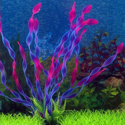 Tanaman Panjang Aquarium, tanaman aquarium panjang, ornamen aquarium tanaman panjang, tanaman