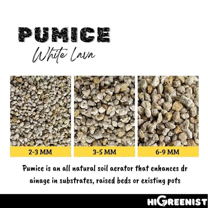 Batu Apung White Pumice (5L) - Media Tanam Pumice Batu Apung - Media Tanam Kaktus Sukulen - Untuk