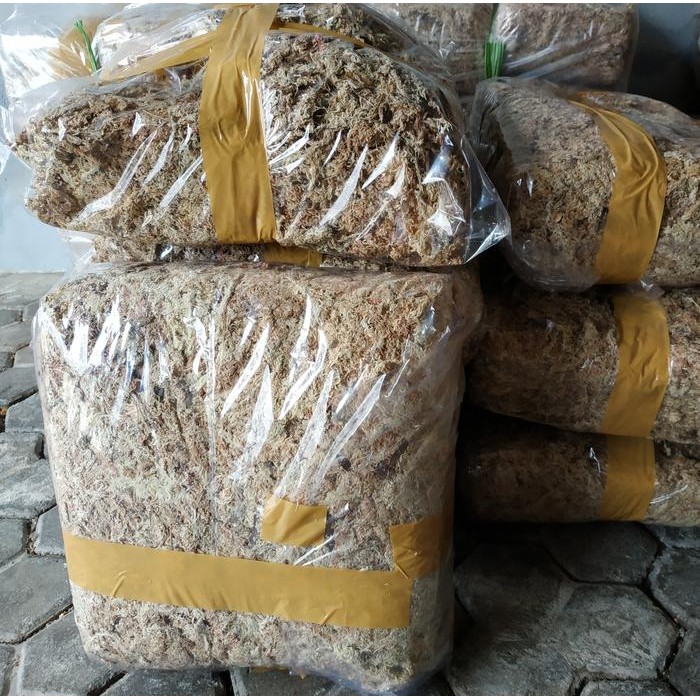 Sphagnum Moss, Sphagnum Moss Chille, Chile 1 bale 4,5-5kg