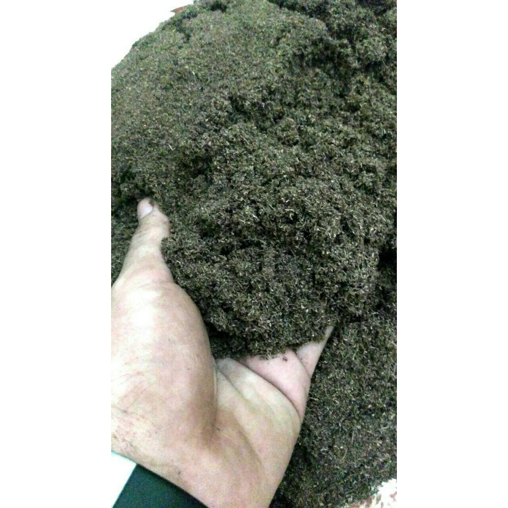 Sphagnum Peatmoss (Fine)