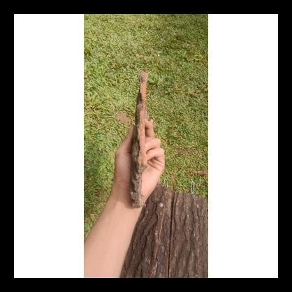 Papan Kulit Kayu Pinus - Media Tanam Anggrek - Papan Kulit Pinus - Kulit Pinus - Media Tempel
