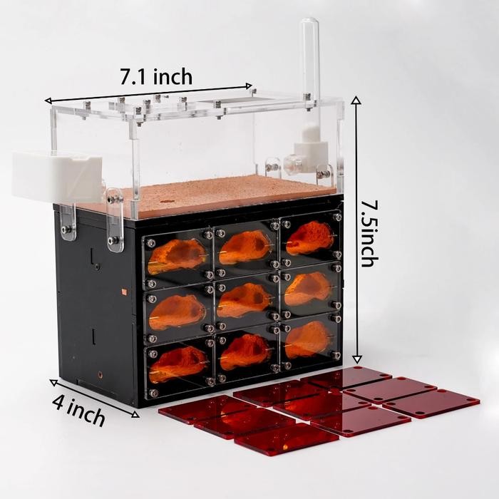 FORMICARIUM ECOLOGICAL PREMIUM 9 RUANG, FORMICARIUM AKRILIK, FORMICARIUM KACA, ANTS NEST, ANT,
