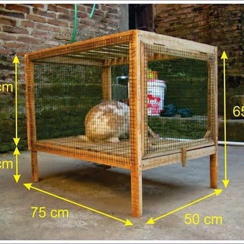 KANDANG KELINCI KAYU