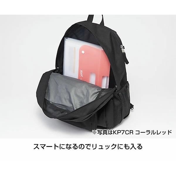 

Raymay Kept File Holder A4 Document Map Dokumen 5 Pockets Storage