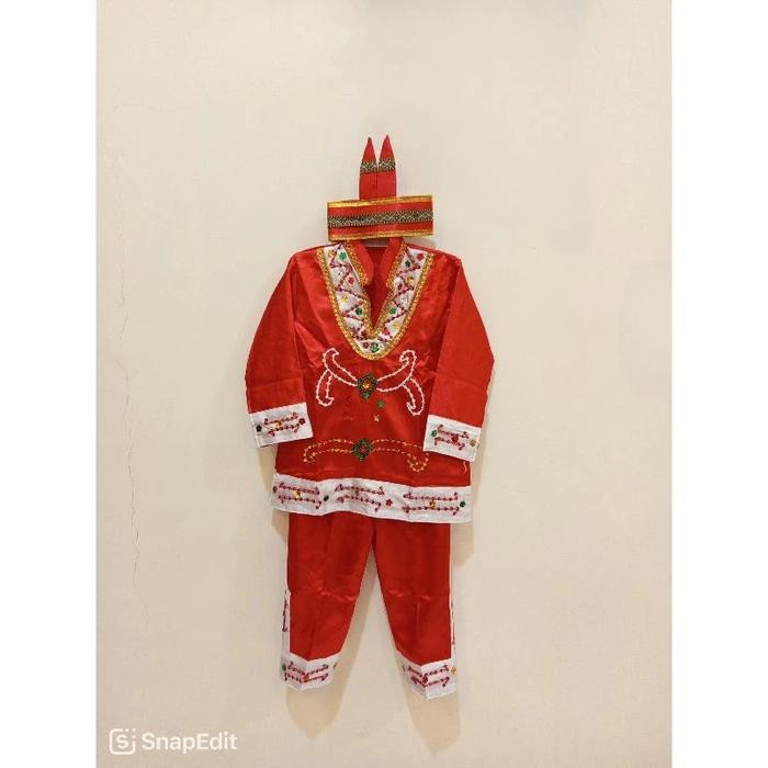 Baju Adat Dayak Kalimantan Tengah Anak Tk Sd Laki Perempuan Cewek Cowok / Baju Adat Kalimantan