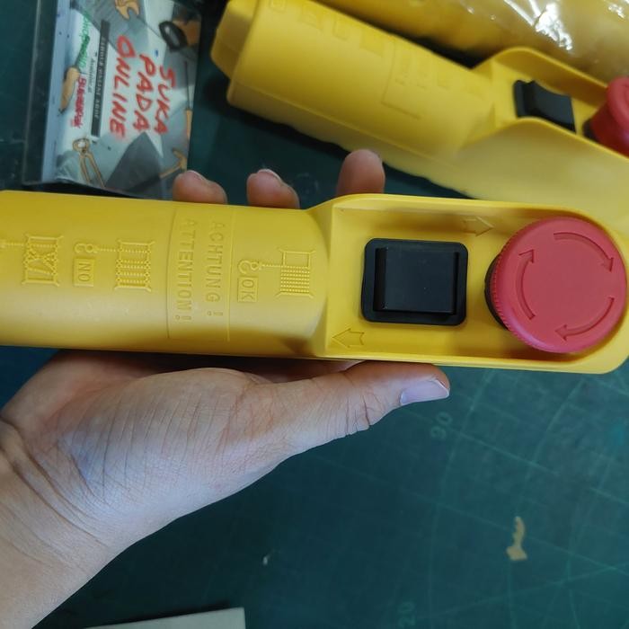 Remote Control Hoist Wipro P500