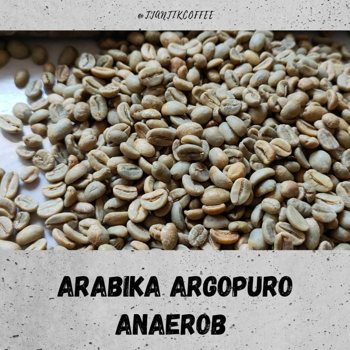 

8SXE Greenbean Arabika Java Argopuro Anaerob Proses