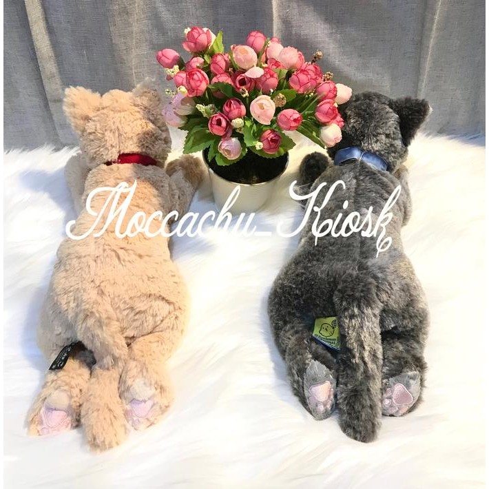 Sunlemon Hiza Neko Russian Blue&Exotic Shorthair Cream/Boneka Kucing