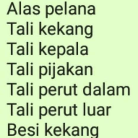 (Allthebest) Pelana Kuda Kulit halus