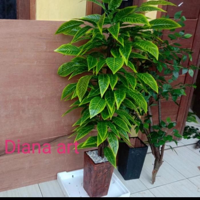 Tanaman Hias Bonsai Beringin Jumbo/Bonsai Tiruan /Tanaman Plastik