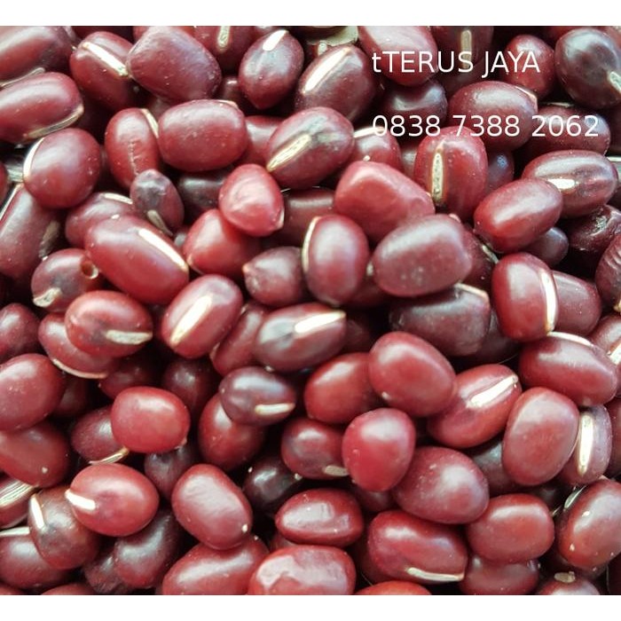 

IOI2 Kacang Merah Azuki Import
