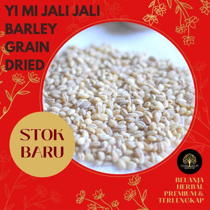 

3YC3 600 Gram Premium Jali Jali Yi Mi Coix Seed Fresh