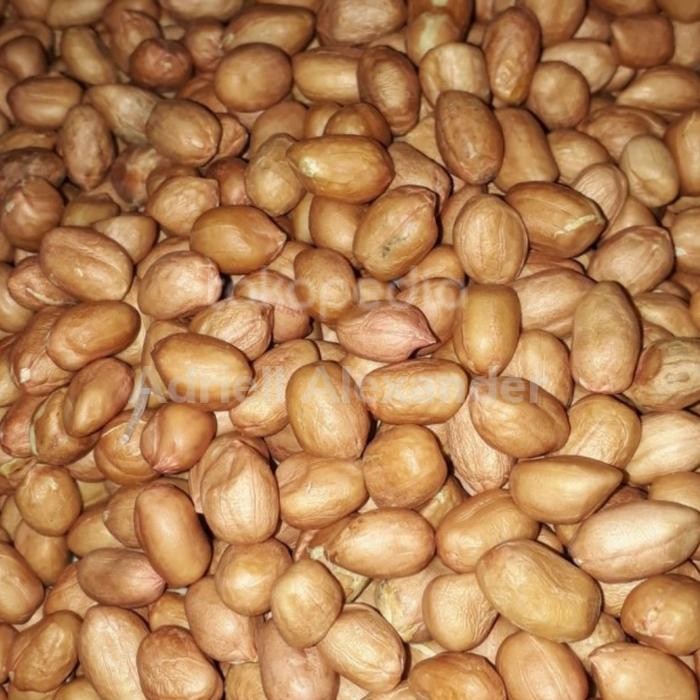 

3YC3 Kacang Tanah Asli Tuban 1Kg