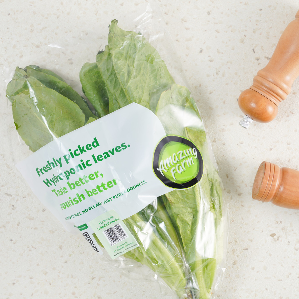 

Amazing Farm Selada Romaine Hidroponik Hidroponik 250 gram