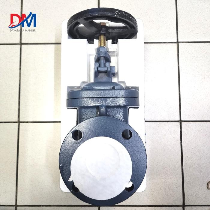 Gate Valve 2" Inch Cast Iron/ Jis 5K