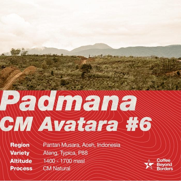 

Arabica Green Beans - Indonesia Padmana CM Avatara #6