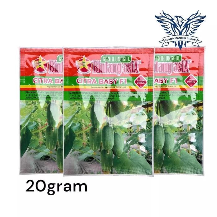 BENIH BIBIT TIMUN MENTIMUN CITRA BABY 20 GRAM - BINTANG ASIA