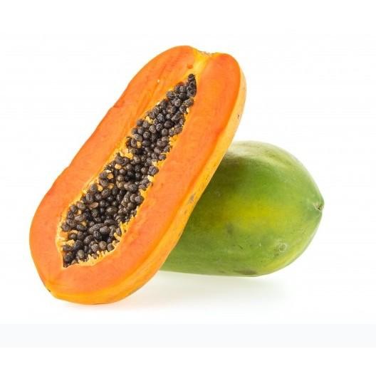 BENIH PEPAYA CALINA IPB/CALIFORNIA UNGGUL ASLI BERSERTIFIKAT 150 BTR