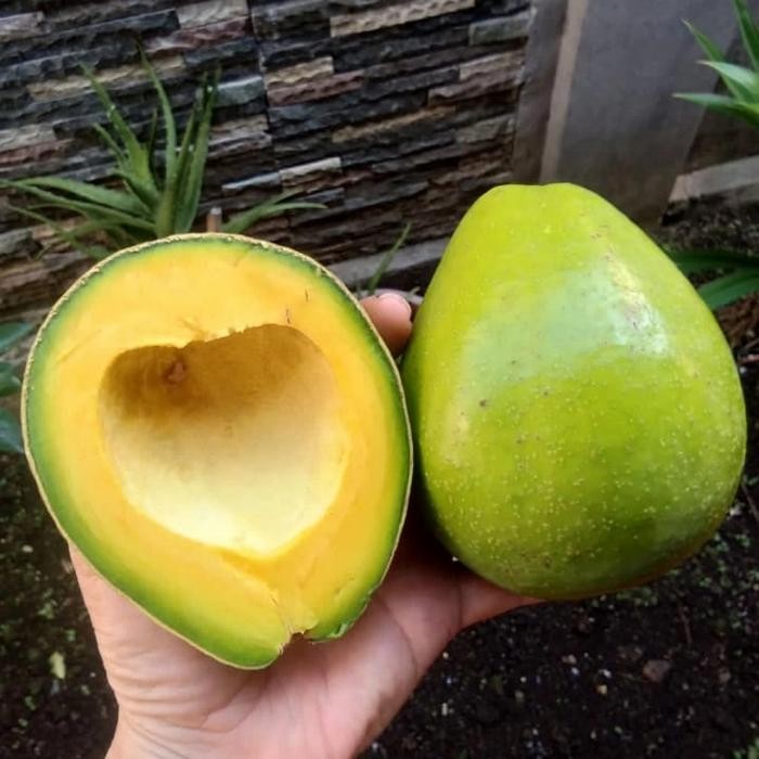 

TERLARIS Alpukat Miki isi 345 READY STOCK