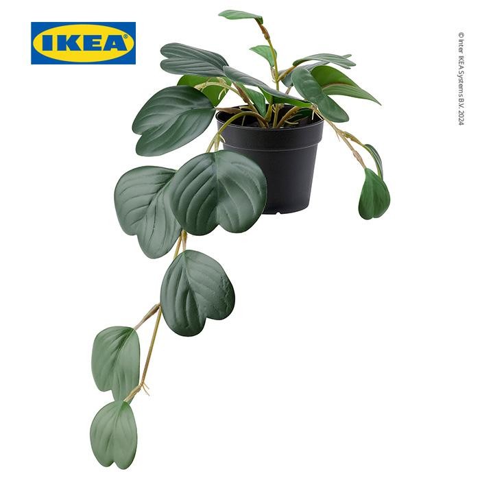 NEW IKEA FEJKA Tanaman Hias Gantung Peperomia dengan Pot 9 cm