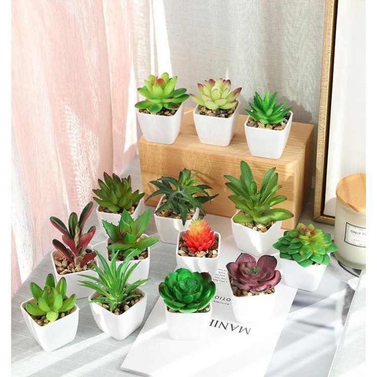 Kaktus Mini Aesthetic / Tanaman Hiasan / Aneka Macam kaktus / Tanaman Hiasan Plastik / Vas *