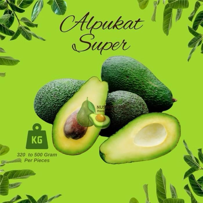 

TERLARIS Alpukat Mentega Super (2-3 Biji Per Kg) BERGARANSI READY STOCK