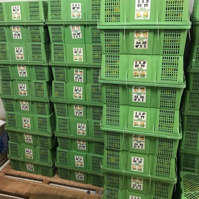 

TERLARIS BUAH JERUK SIAM MADU PONTIANAK PER KERANJANG READY STOCK